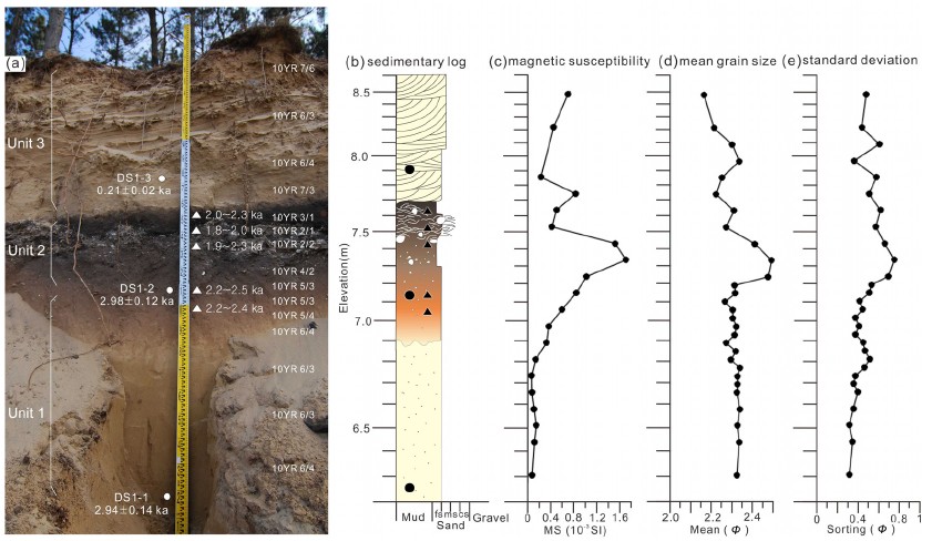 Fig. 4. Fig. 4.