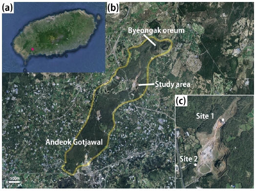 Fig. 1. Fig. 1.