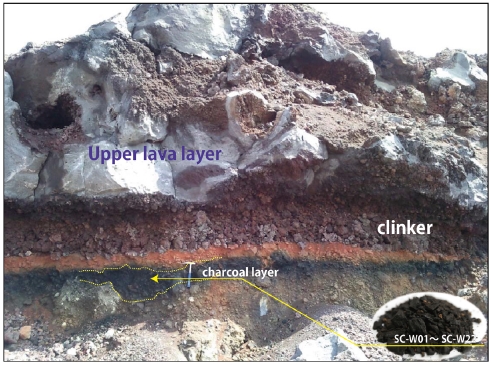 Fig. 3. Fig. 3.