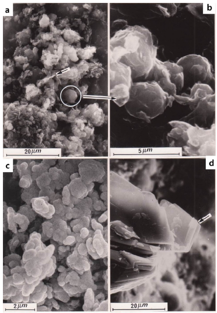 Fig. 5. Fig. 5.