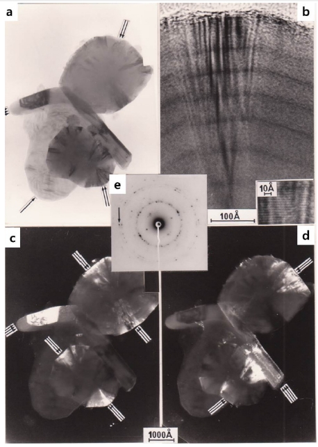 Fig. 6. Fig. 6.