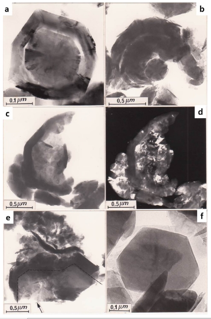Fig. 9. Fig. 9.