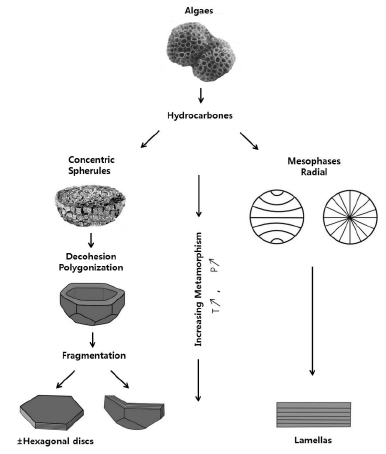 Fig. 11.