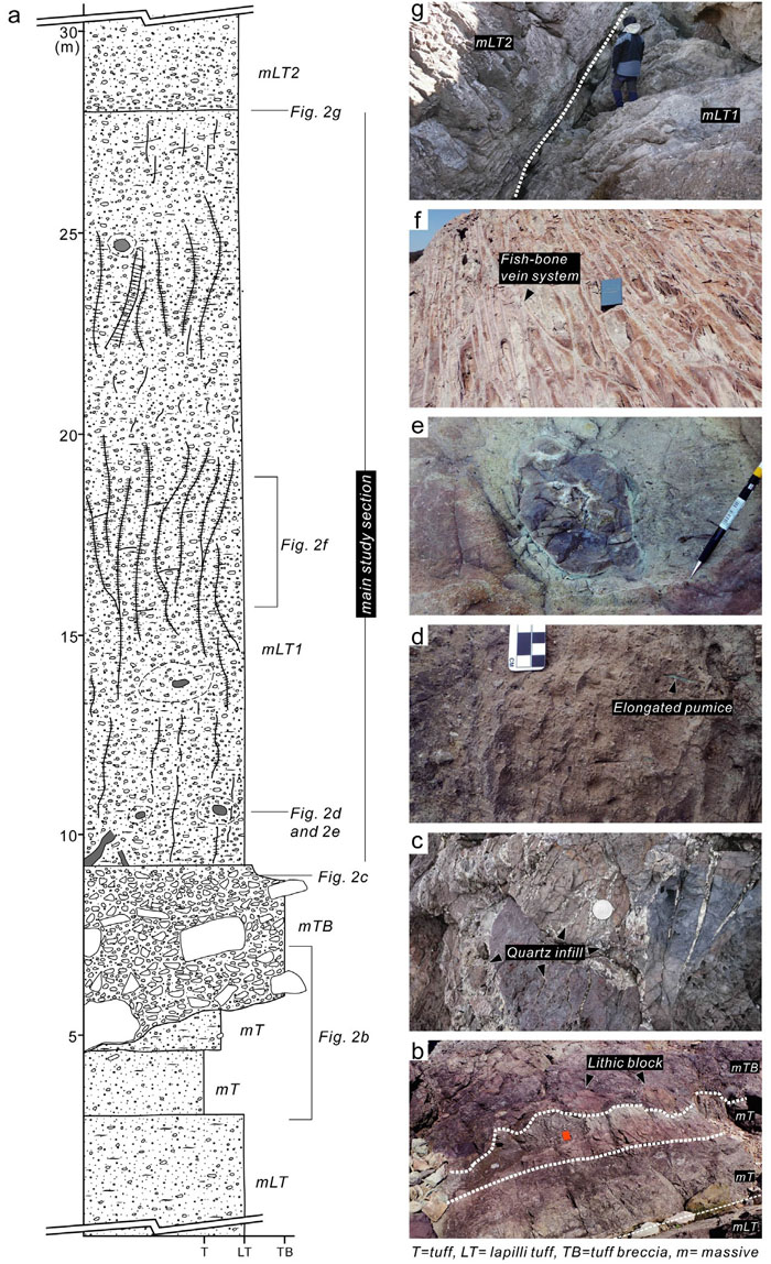 Fig. 2. Fig. 2.