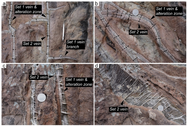 Fig. 3. Fig. 3.