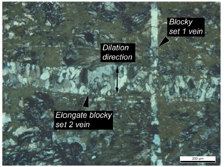 Fig. 4. Fig. 4.