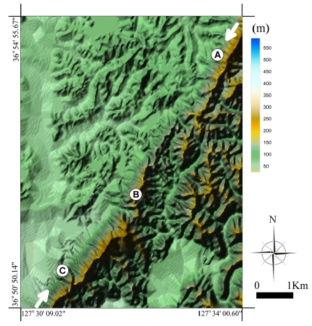 Fig. 4. Fig. 4.