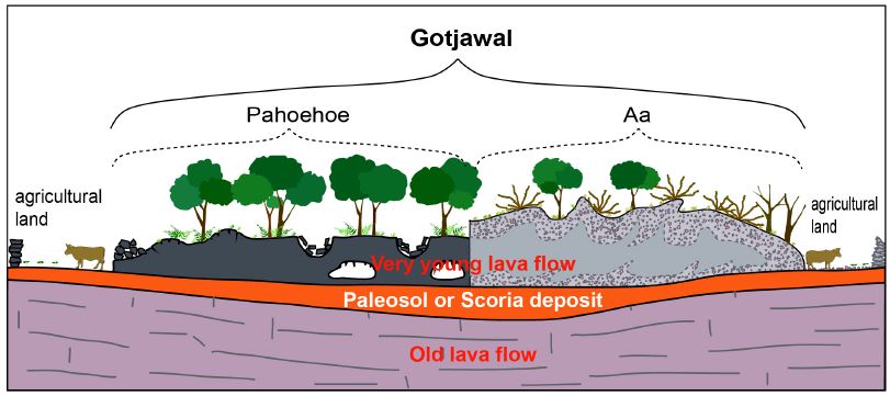 Fig. 9. Fig. 9.