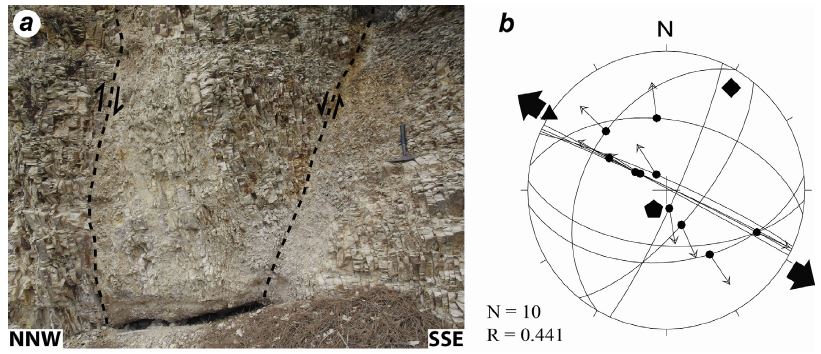 Fig. 3. Fig. 3.