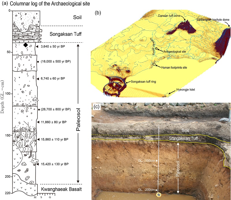 Fig. 9.