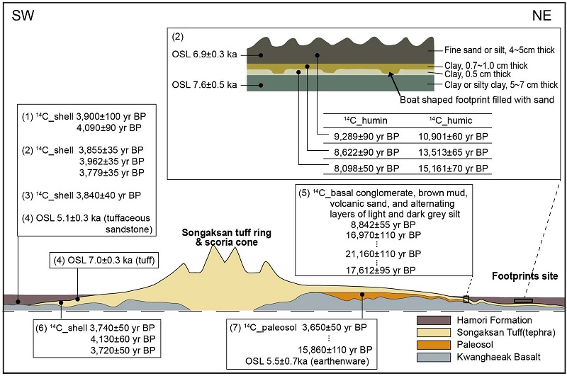Fig. 10.