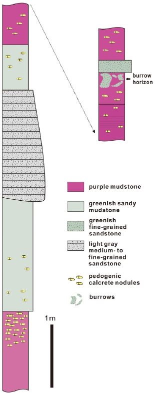 Fig. 4.