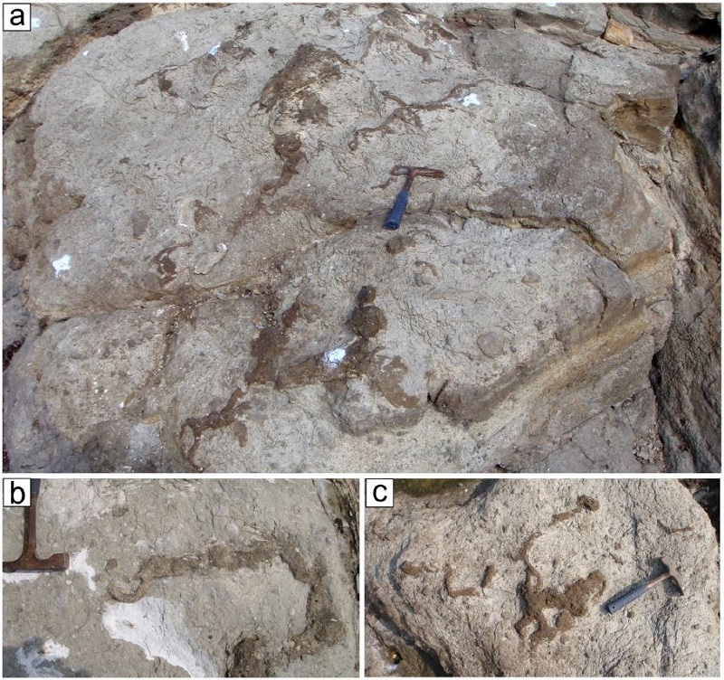 Fig. 5.