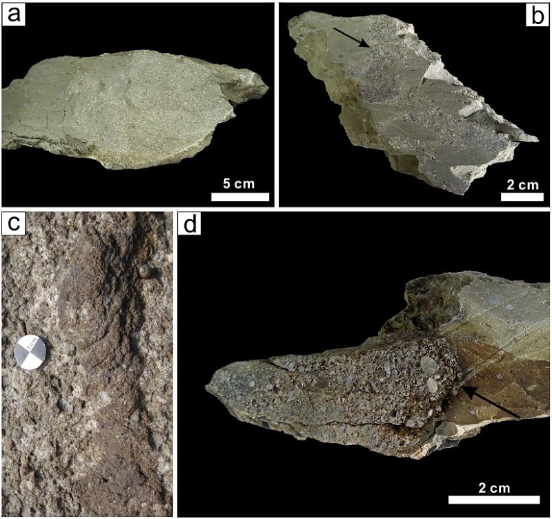 Fig. 6.