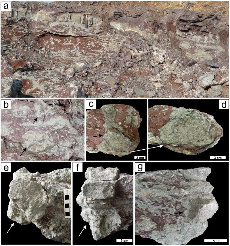 Fig. 7.