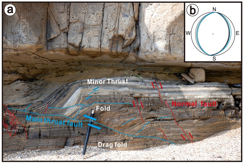Fig. 8.