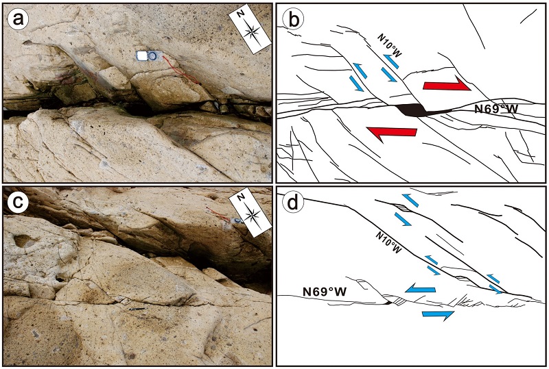 Fig. 10.
