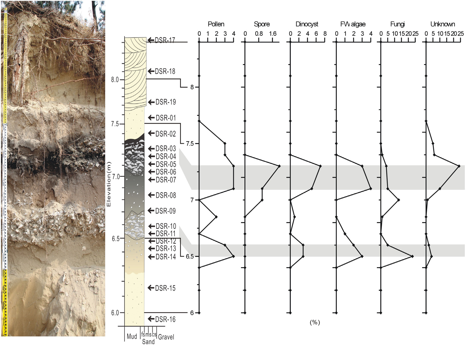 Fig. 2. Fig. 2.