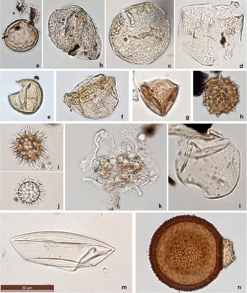 Fig. 3. Fig. 3.