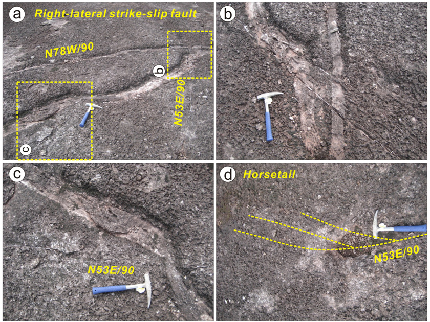 Fig. 11.
