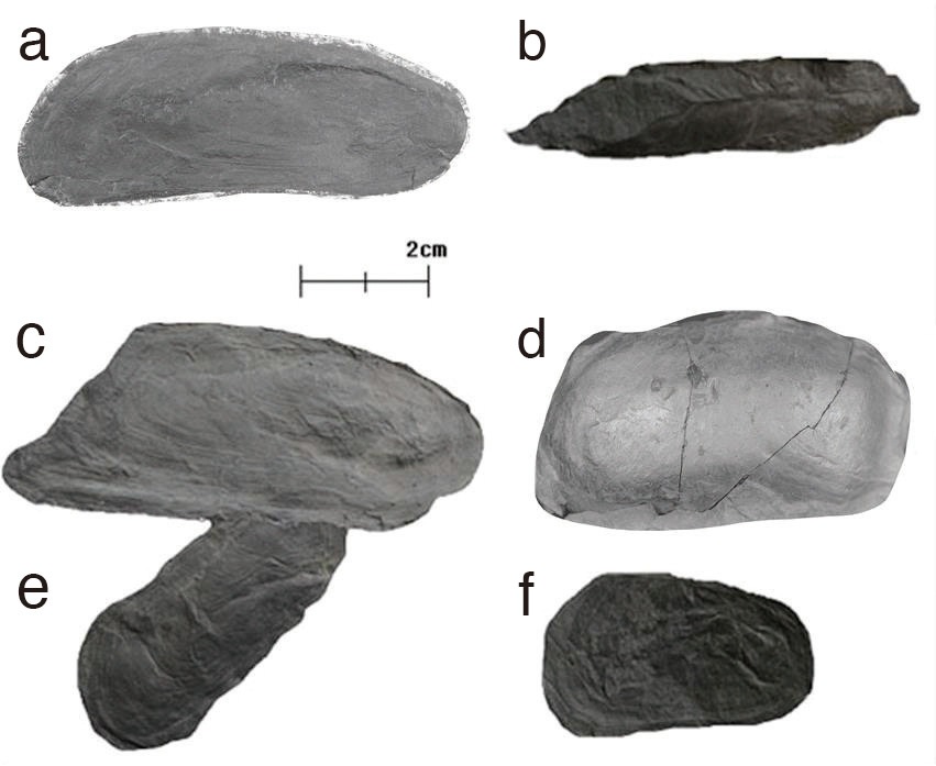 Fig. 2. Fig. 2.