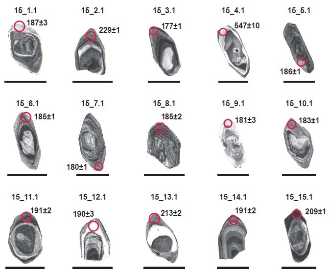 Fig. 2. Fig. 2.