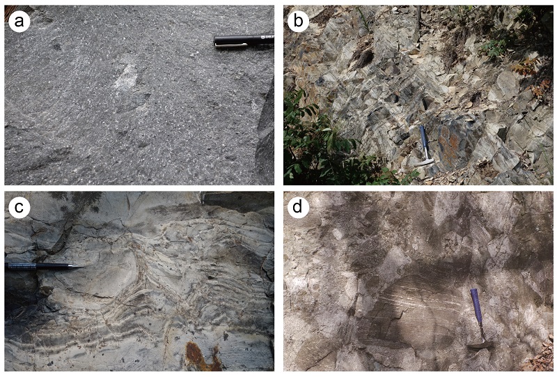 Fig. 7. Fig. 7.