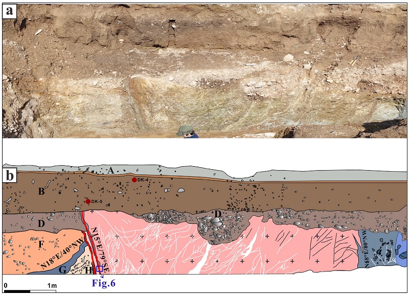 Fig. 5. Fig. 5.