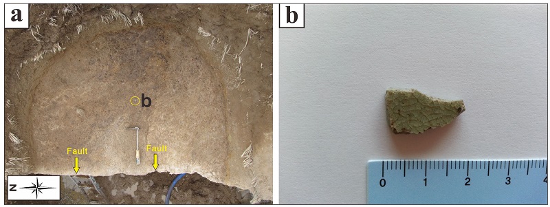 Fig. 9. Fig. 9.