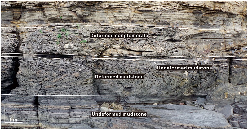 Fig. 4. Fig. 4.