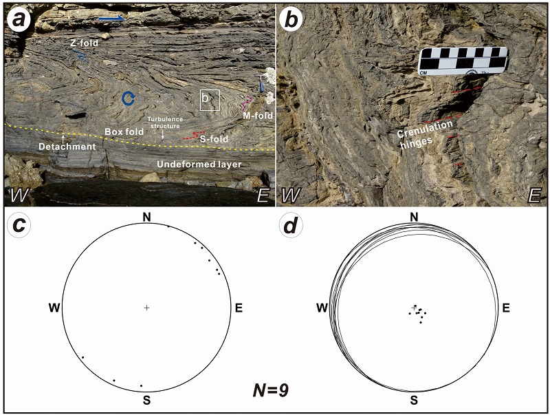 Fig. 7. Fig. 7.