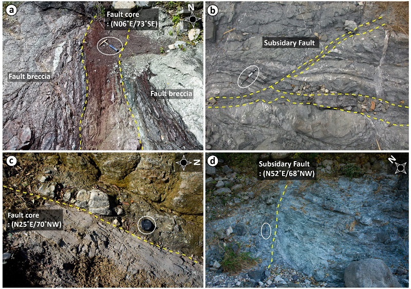 Fig. 2. Fig. 2.
