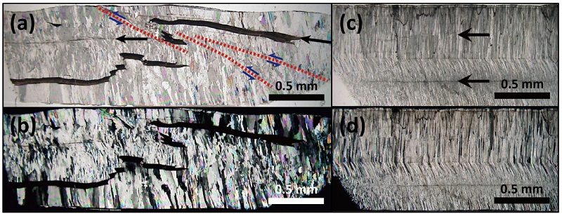 Fig. 4. Fig. 4.