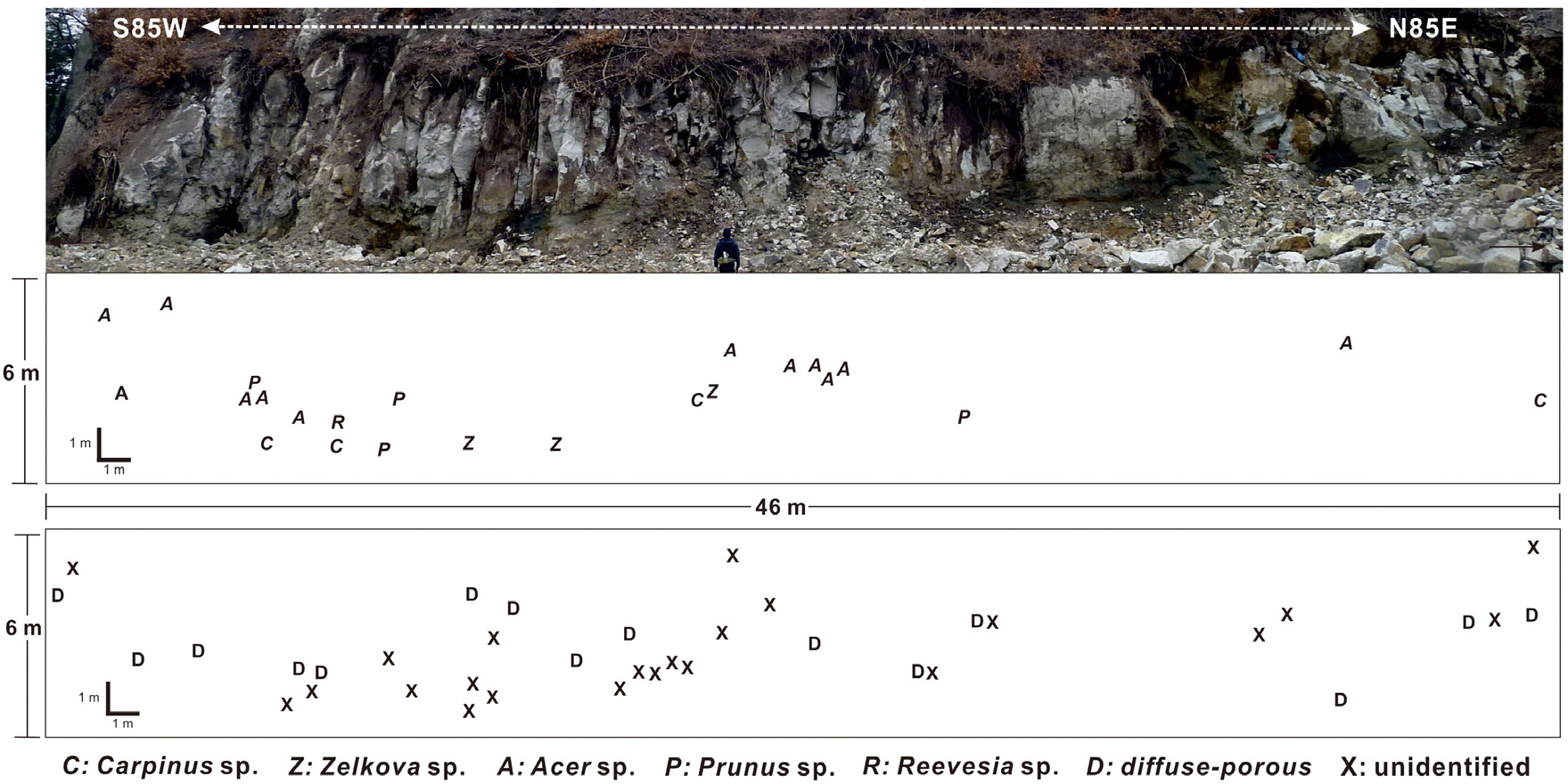 Fig. 3.