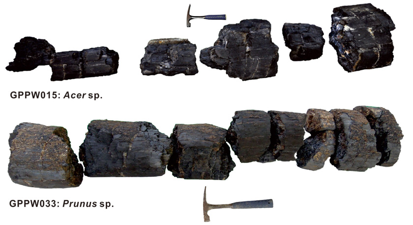 Fig. 5.