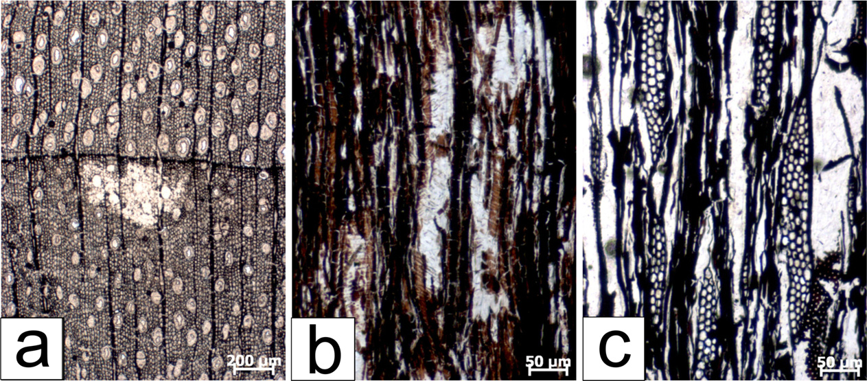 Fig. 9.