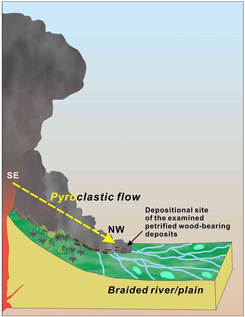 Fig. 10.