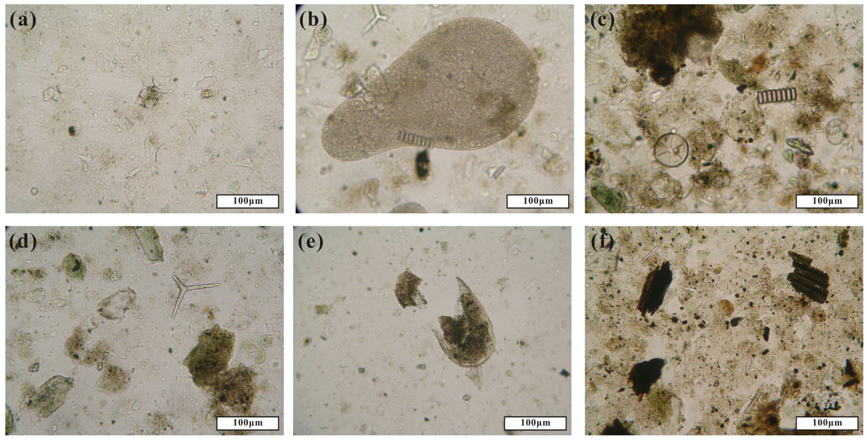 Fig. 3. Fig. 3.
