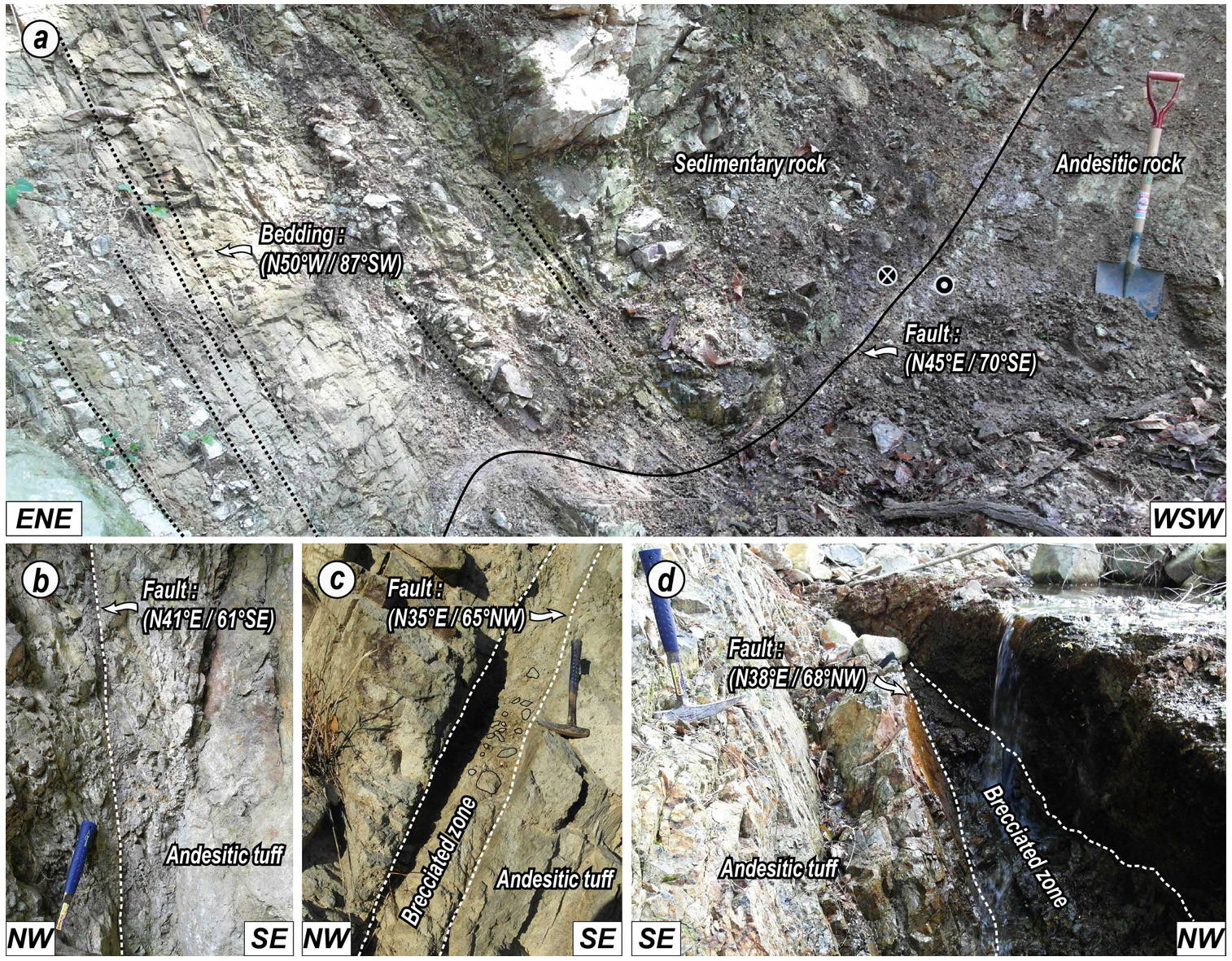 Fig. 6. Fig. 6.
