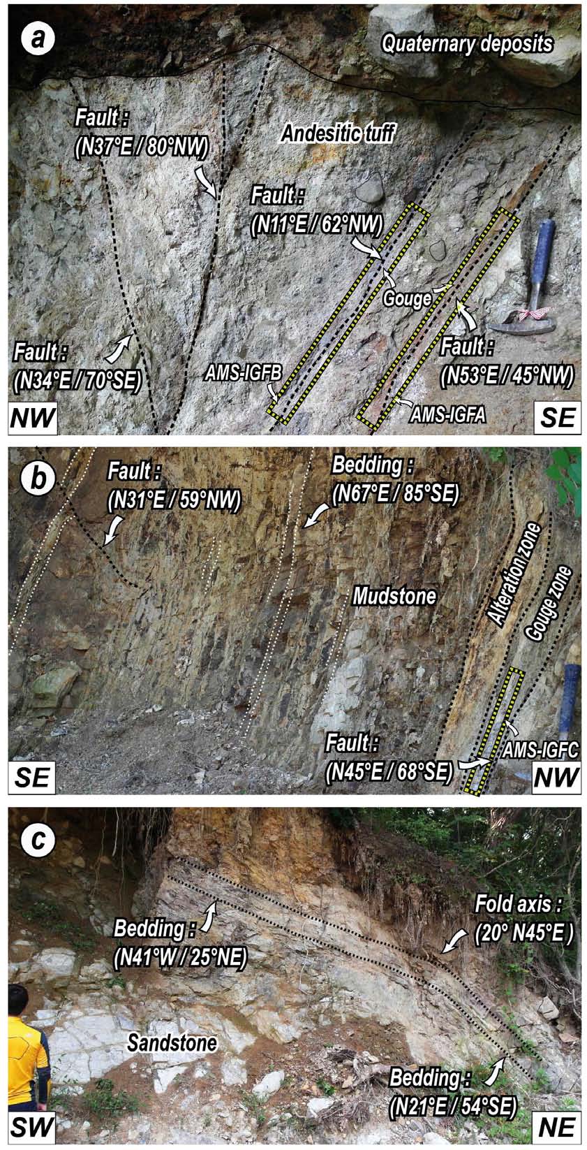 Fig. 8. Fig. 8.
