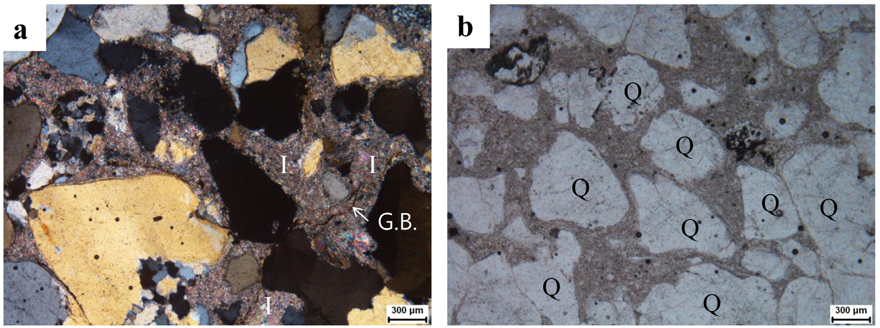 Fig. 2. Fig. 2.