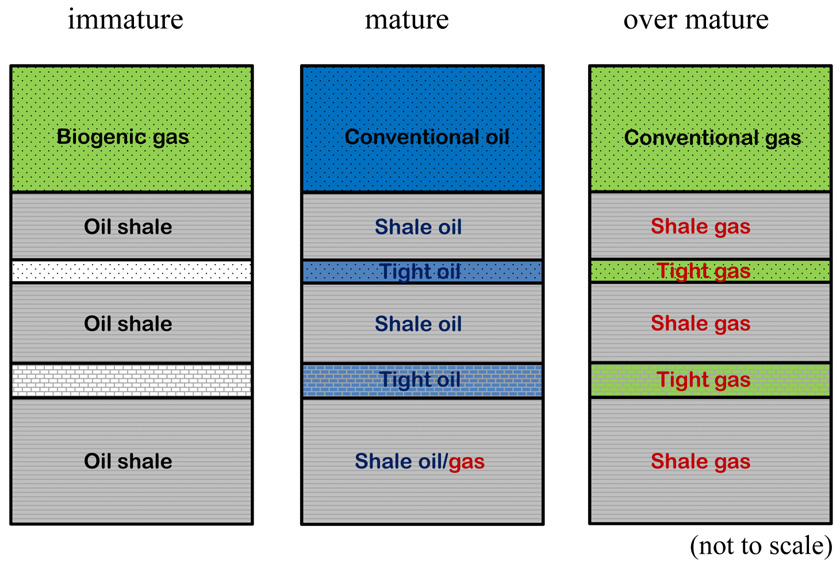 Fig. 2. Fig. 2.