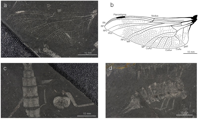 Fig. 2. Fig. 2.