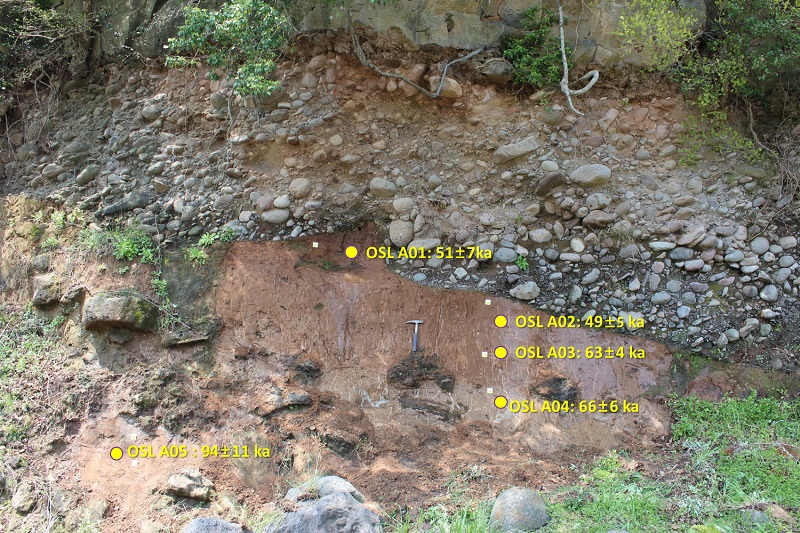 Fig. 3.