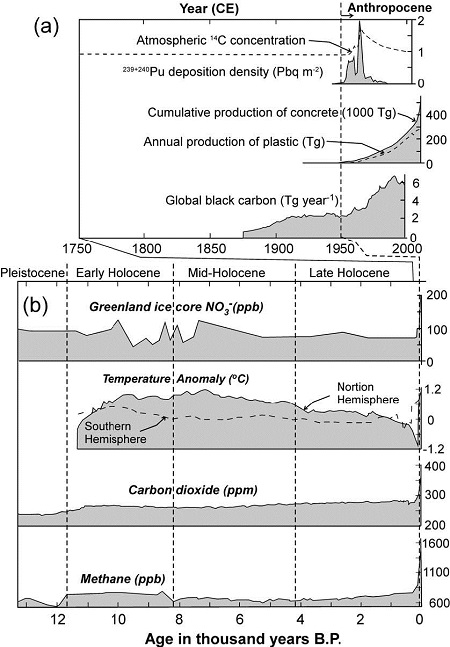 Fig. 2. Fig. 2.