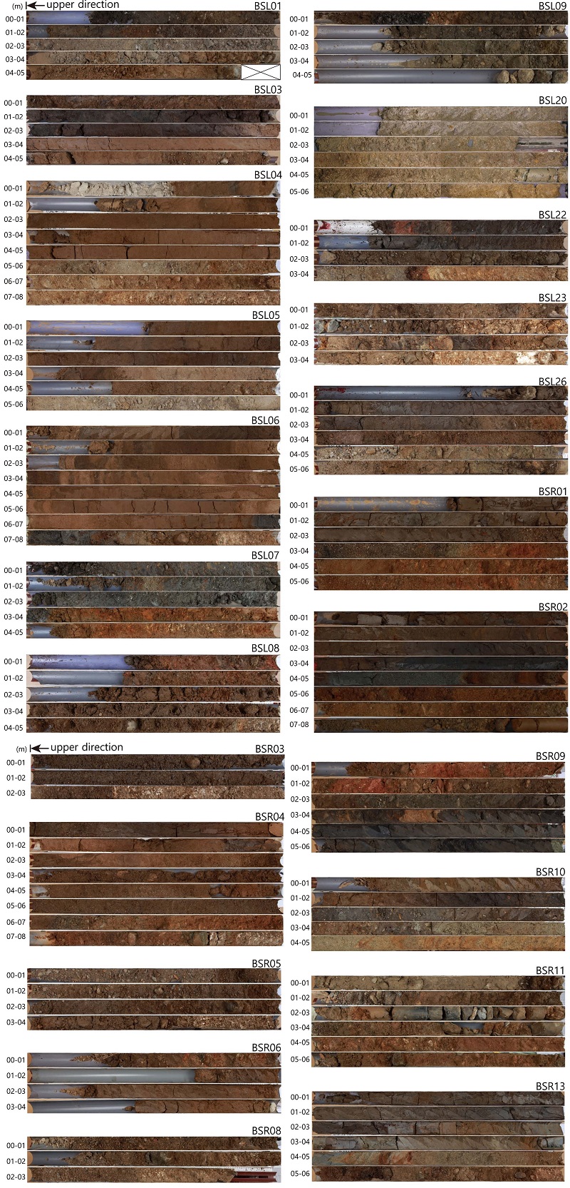 Fig. 3.