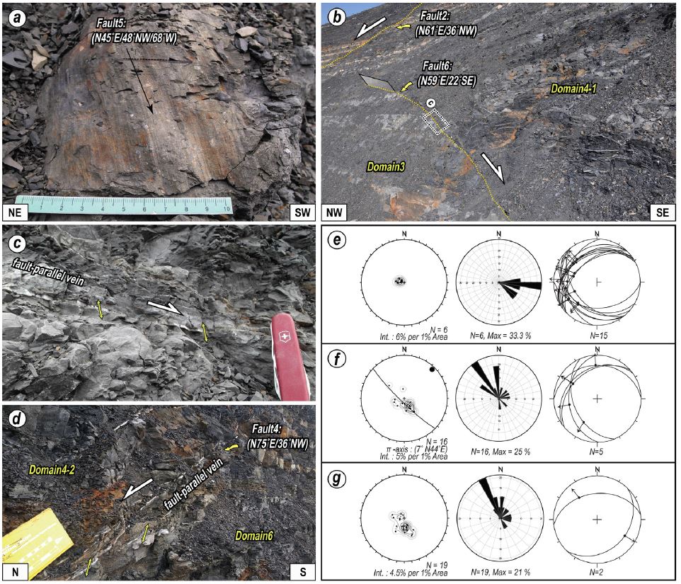 Fig. 4. Fig. 4.