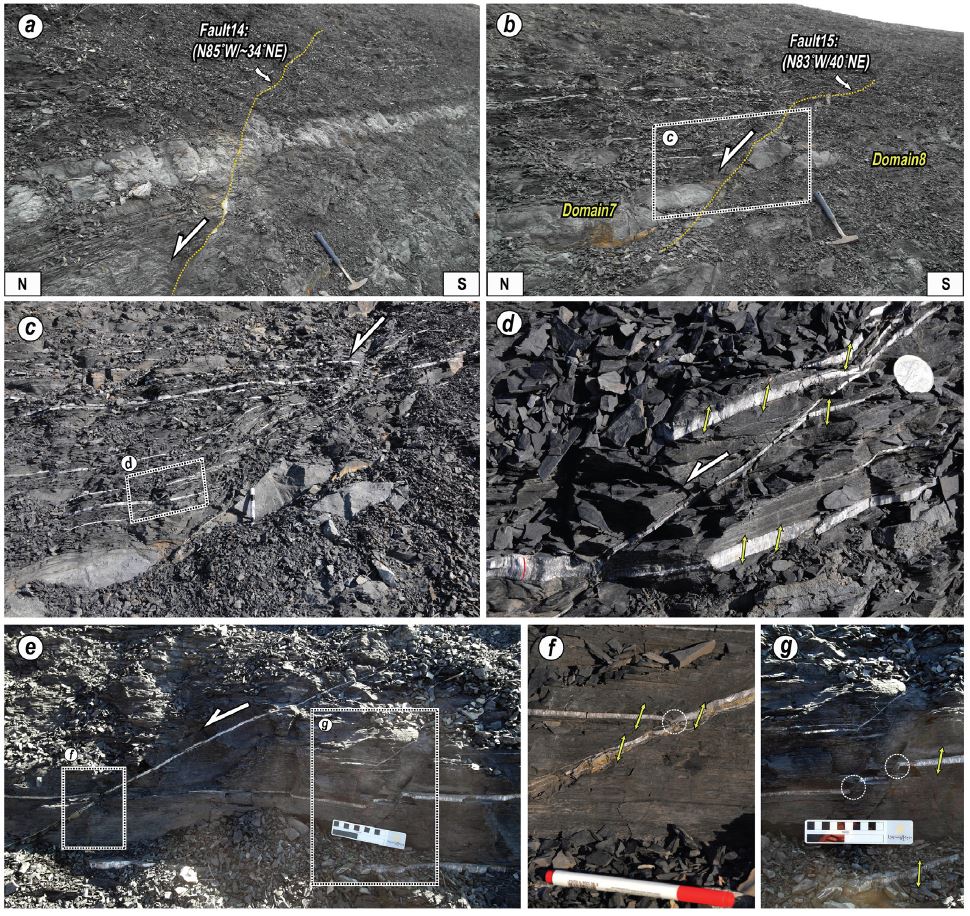 Fig. 7. Fig. 7.