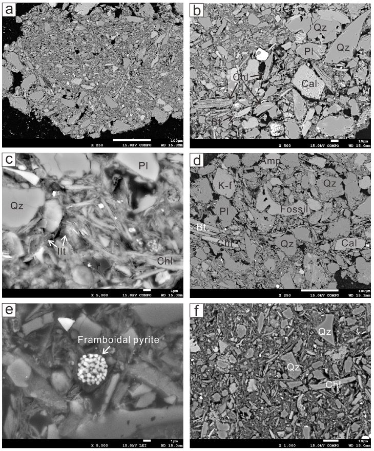 Fig. 4. Fig. 4.