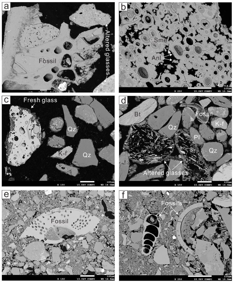Fig. 7. Fig. 7.